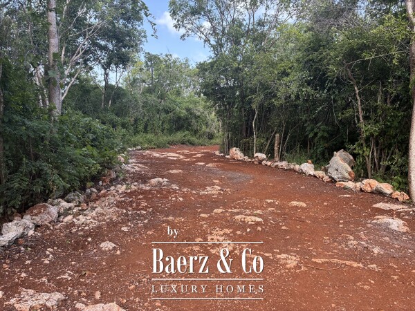 photo 25 A Private Yucatán Estate — A Life of Privacy, Nature and Independence